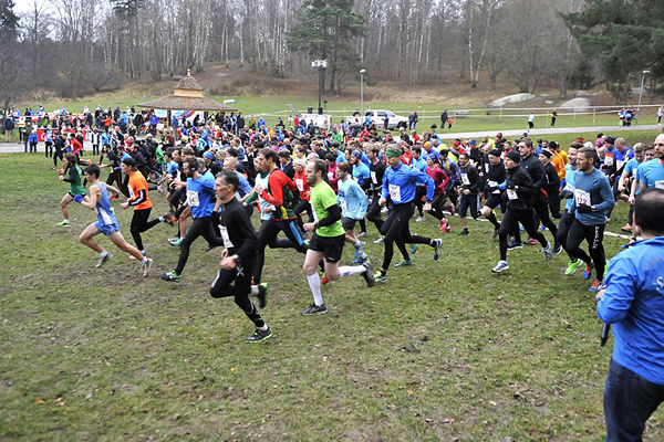 Tömilen 2014