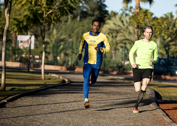 DSC_6565