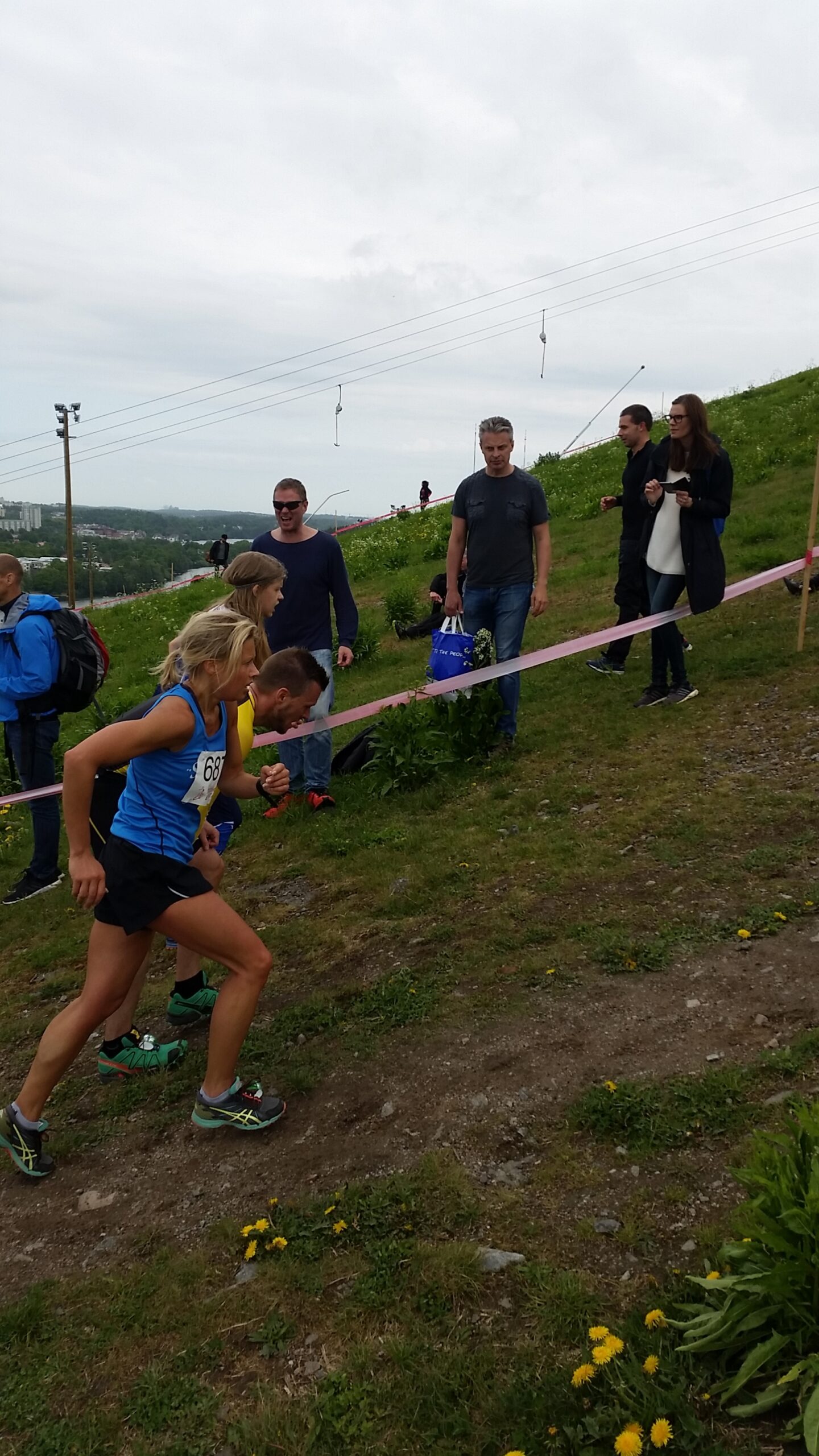 Stockholms brantaste 2016