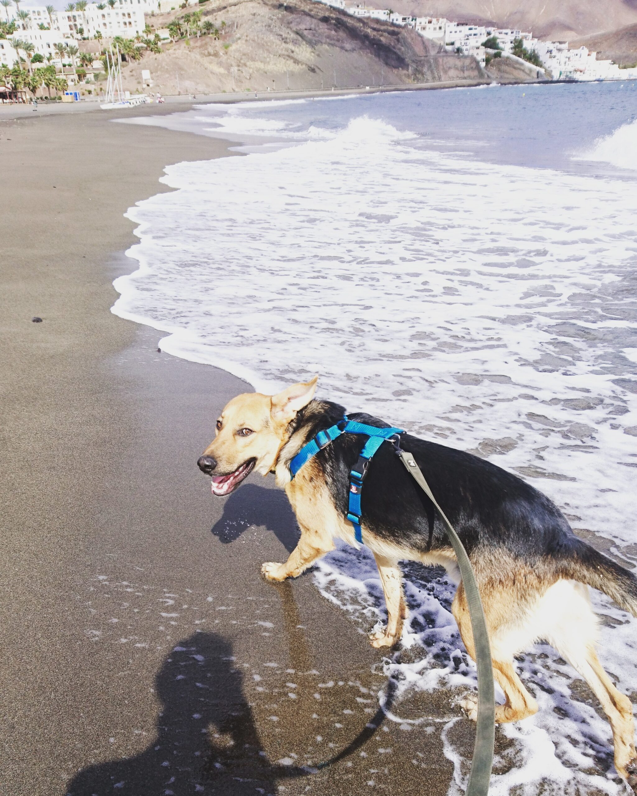 IMG_20170211_153102_618