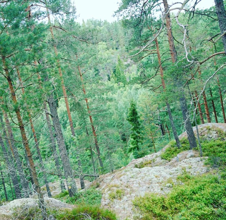 _20170712_111240